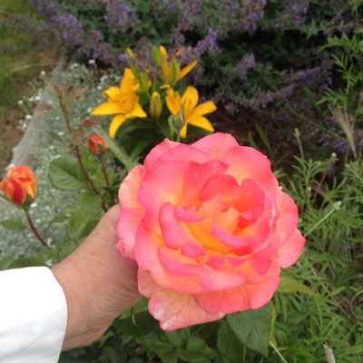 Profile Picture of Suzanne Chavez (@suzannespring11) on Twitter