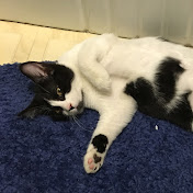 Profile Picture of James Swartz (@McDickles85) on Youtube