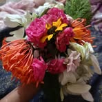 Profile Picture of Somrat Bags House (@somrat.bags.house) on Facebook