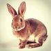 Profile Picture of dawn mckinlay (@matthew3003) on Pinterest