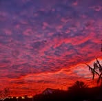 Profile Picture of Daniel Birch (@Daniel-Birch) on Facebook