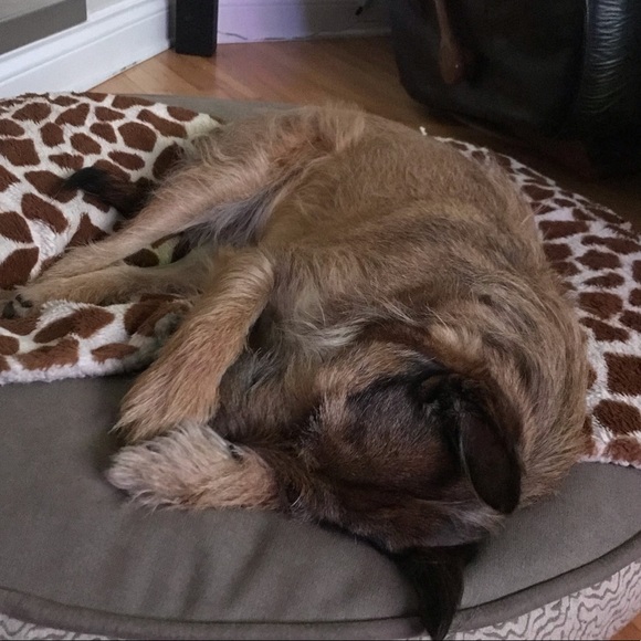 Emily Mautone - Poshmark Profile Picture of Emily Mautone (@emmymau) on Poshmark