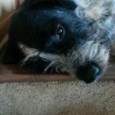 Profile Picture of Todd Koehler (@Ping1974) on Twitter