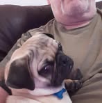 Profile Picture of Roy Stamper (@roy.stamper.75) on Facebook