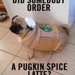 Profile Picture of Daniel Alfaro (@bitlyv8) on Instagram