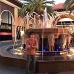 Profile Picture of Majd Machhor (@majdmachhor) on Instagram