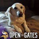 Profile Picture of Mary M Arndt-Bohlmann (@arndtbohlmann) on Instagram