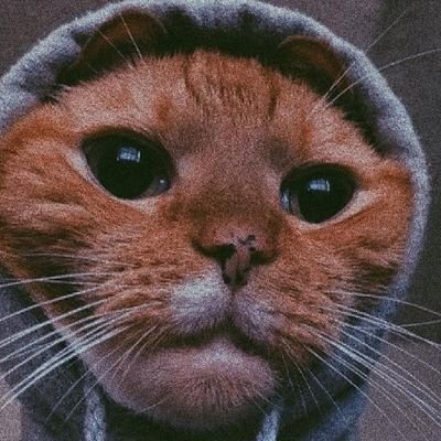 Profile Picture of Garrett Chavez (@GarrettChavez13) on Twitter