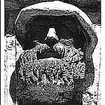 Profile Picture of Konicafan (@konicafan) on Flickr