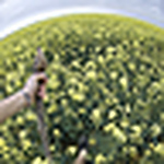 Profile Picture of Scott M. Sullivan (@scott m. sullivan) on Flickr