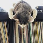 Profile Picture of benjamin + leslie (@a.good.record.is.always.around) on Instagram