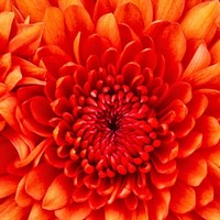 Profile Picture of Danny Jaco (@danny-jaco-2) on Quora