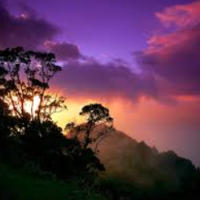 Profile Picture of Julia Yuen (@jyuenwing) on Twitter