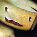 Profile Picture of Fat Cheese Man (@ebonincendie) on Pinterest