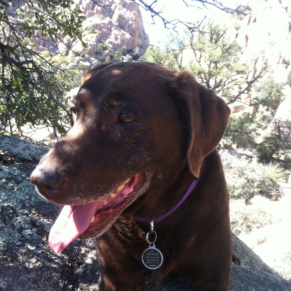 Profile Picture of Meghan Ottmann (@omeg) on Poshmark