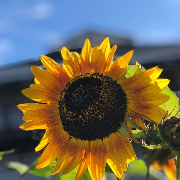 Dalton Rispoli - Poshmark Profile Picture of Dalton Rispoli (@djr1127) on Poshmark