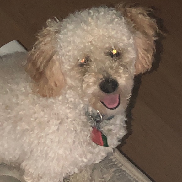 Monika Smistek - Poshmark Profile Picture of Monika Smistek (@monika558) on Poshmark