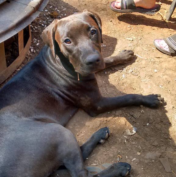 Profile Picture of Kerry Bigsby (@bigsbykerry69) on Poshmark