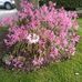 Profile Picture of Anne Mcgrath (@anne.mcgrath.12327) on Facebook