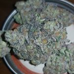 Profile Picture of Moses Vasquez (@moisesvasquez.bg1247) on Instagram