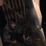 Profile Picture of Aiden Webb (@aiden.webb7) on Instagram