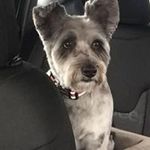 Profile Picture of Julia Shipley (@shipley_julia) on Instagram