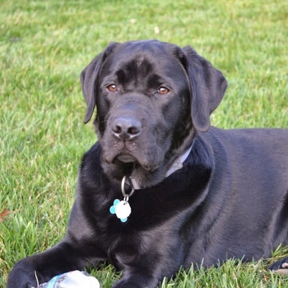 Profile Picture of Jenna Harden (@jharden216) on Poshmark