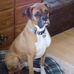Profile Picture of Carl Capson (@Carl-Capson) on Facebook