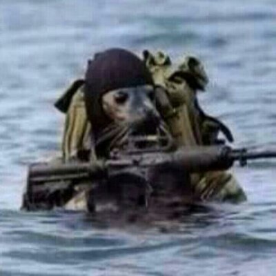 Profile Picture of Steve Park (@9420park) on Twitter