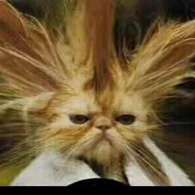 Profile Picture of John Sean Amparo (@SeanAmparo) on Twitter