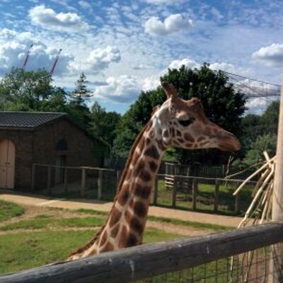 Profile Picture of Stephen Matthes (@matthes_stephen) on Twitter