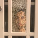 Profile Picture of marcelien (@_marcelangelo) on Instagram