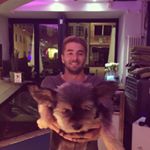 Profile Picture of Thomas Bachmann (@tho_mas_bach_mann) on Instagram