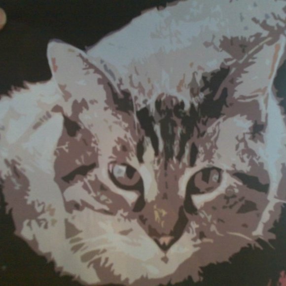 Profile Picture of Jessica Depuy (@jacksmommy116) on Poshmark