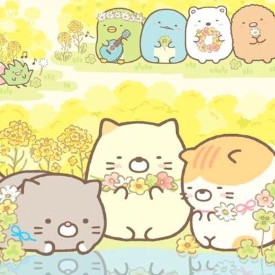 Profile Picture of Hayley Chung (@HayleyChung5) on Twitter