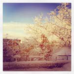 _BryanEpstein - Instagram Profile Picture of _BryanEpstein (@_bryanepsteinm) on Instagram