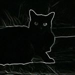 Profile Picture of The Mark (@markpavel02) on Instagram