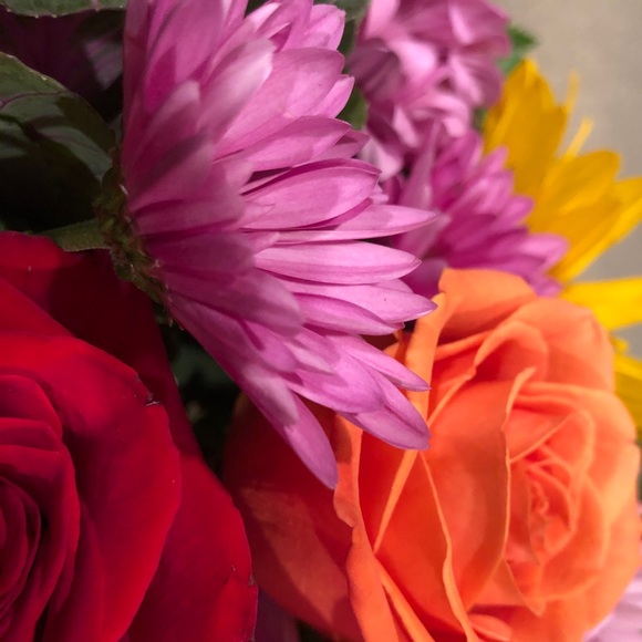 Profile Picture of Beth Spero (@beaulieusurmer) on Poshmark