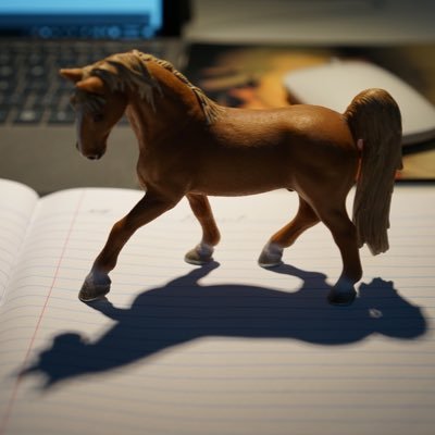 Profile Picture of Chris Tang (@SteinwayKing123) on Twitter