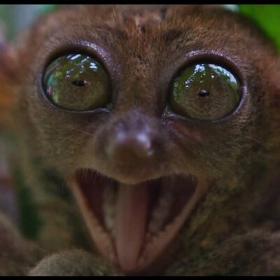 Profile Picture of Derek Gunter (@DerekGunter2) on Twitter