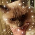 Profile Picture of kennethhazensr (@kennethhazensr) on Instagram