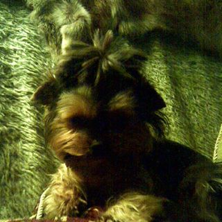 Profile Picture of Katka David Šmejhor (David) (@katka.smejhor) on Facebook