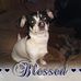 Profile Picture of Marian Rowedda (@marian.rowedda.3) on Facebook