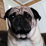 Profile Picture of Bobbie Ratcliff (@ratcliffbobbie) on Instagram