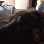 Profile Picture of Travis David Dunnam (@travisty555) on Instagram