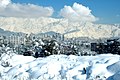 Profile Picture of Tochalon Wikipedia