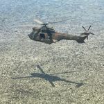 Profile Picture of Joe Meyer (@joemeyer_mako) on Instagram