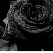 Profile Picture of Alexandra Shapiro (@alexandrashapiro9474) on Youtube