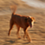 Profile Picture of Sean Phillips (@runfergus) on Flickr