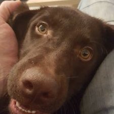 Profile Picture of Tina Probst (@tinaprobst81) on Twitter